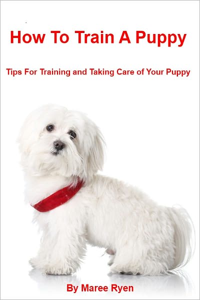 How To Train A Puppy