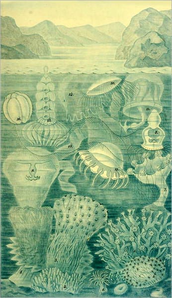 The History of Creation, Vol. II (of 2) Or the Development of the Earth and its Inhabitants by the Action of Natural Causes(Illustrated)