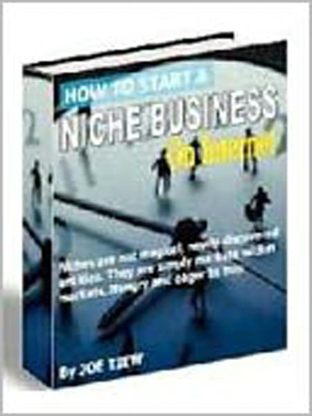 How to Start A Niche Business On Internet