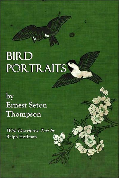 Bird Portraits