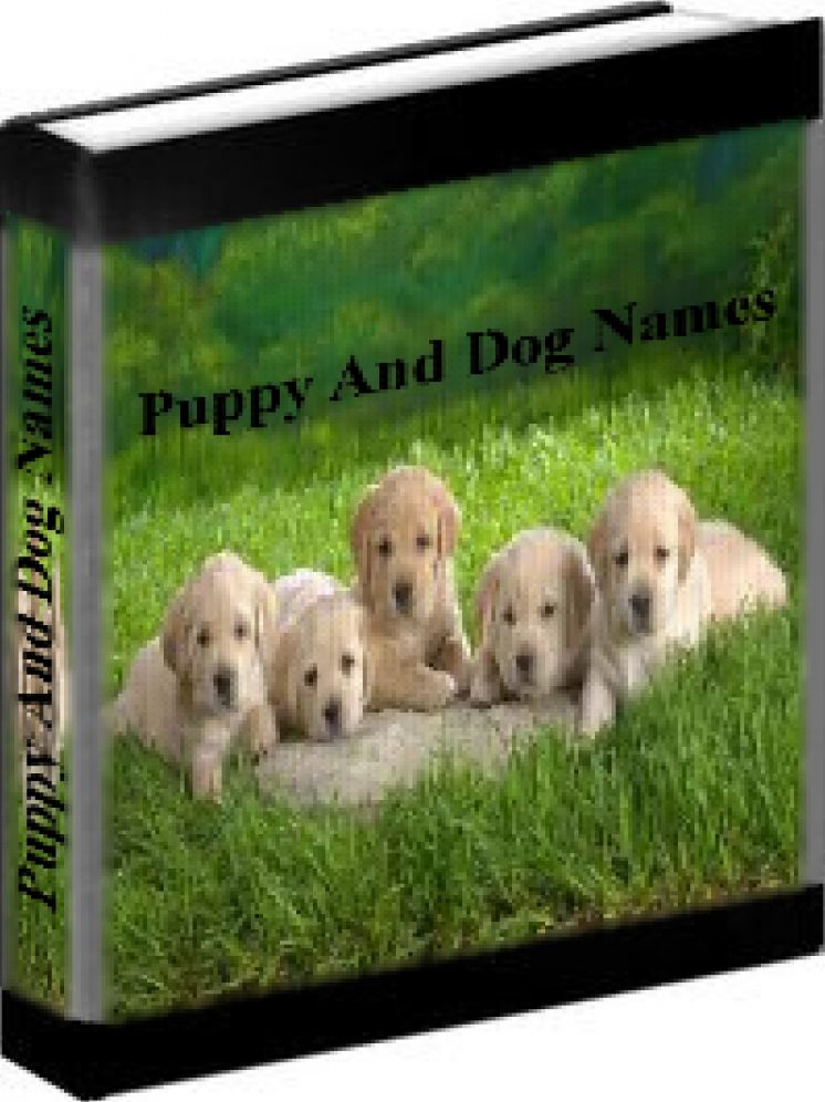 Dog Names - The Best Puppy Names And Dog Names