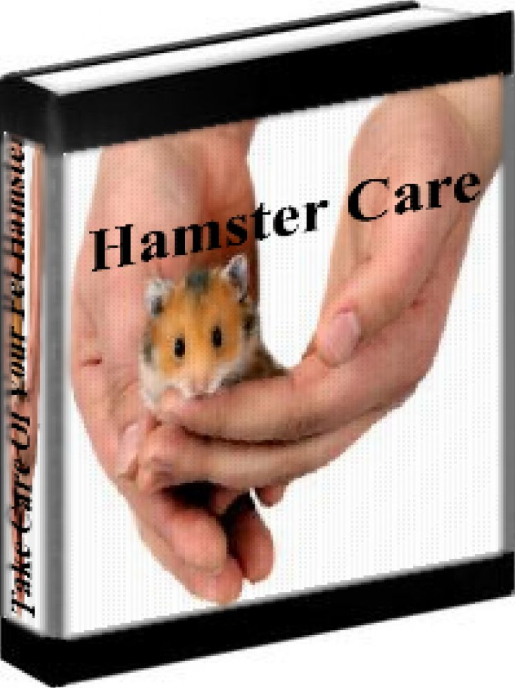 Hamster Care - How To Care For Your Pet Hamster