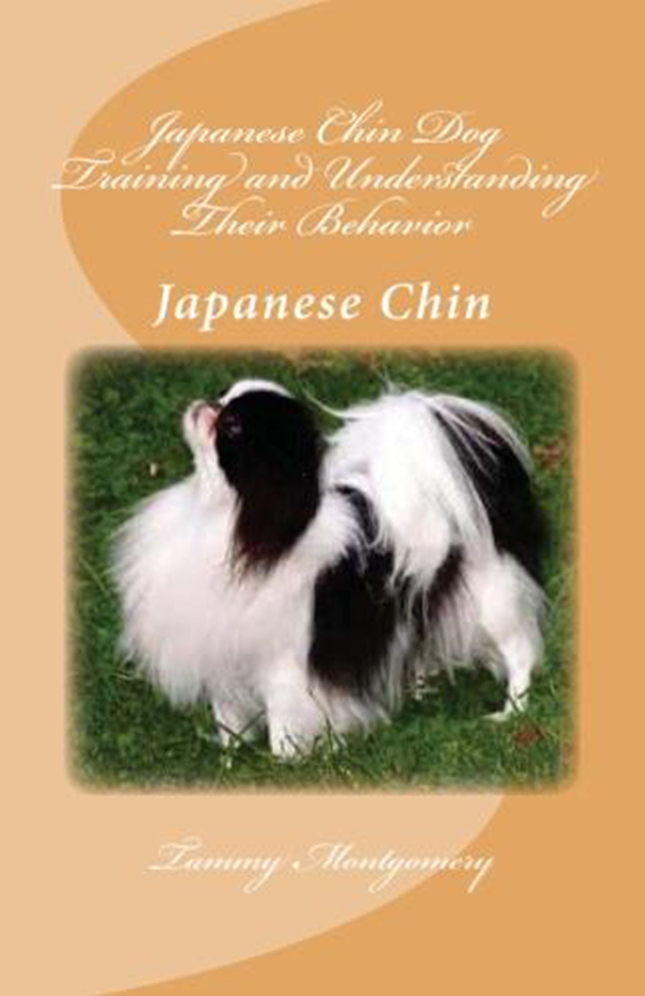 Japanese Chin Dog Training and Understanding Their Behavior