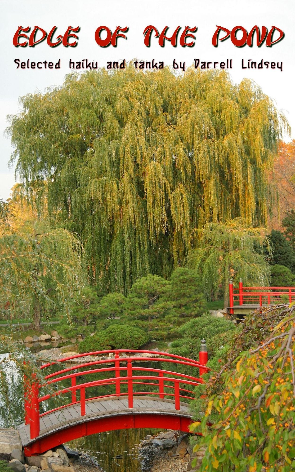 edge of the pond