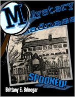 Mystery Madness 1 (SPOOKED!)