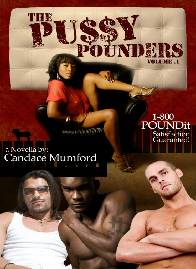 The Pussy Pounders Volume 1 ( A Novella )