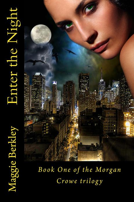 Enter the Night: Book One of the Morgan Crowe trilogy