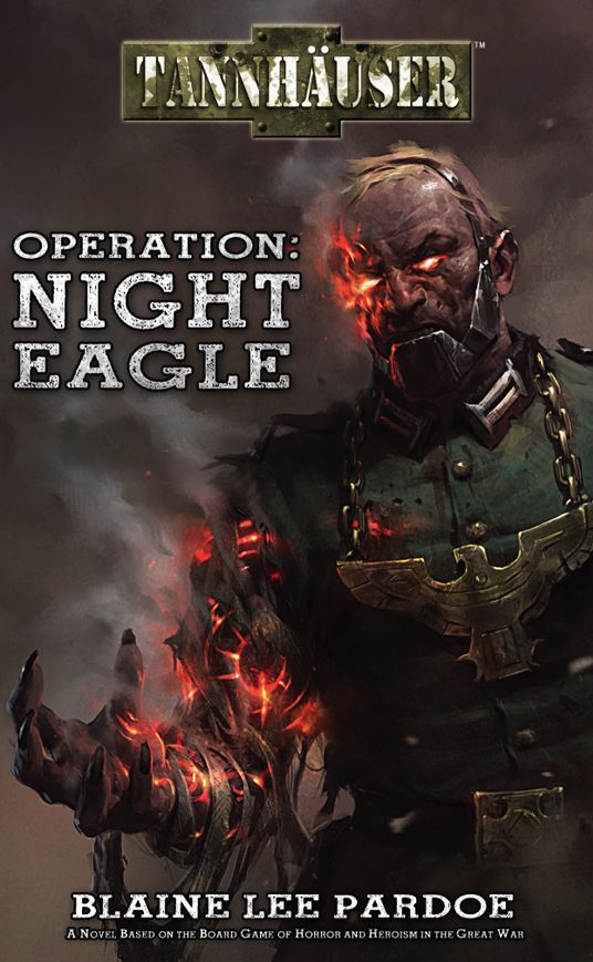 Tannhauser: Operation Night Eagle
