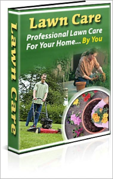Lawn Care: Professional Lawn Care For Your Home By You! AAA+++