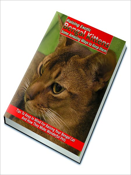 Raising Exotic Bengal Kittens