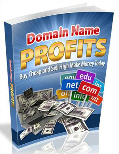 Domain Name Profits