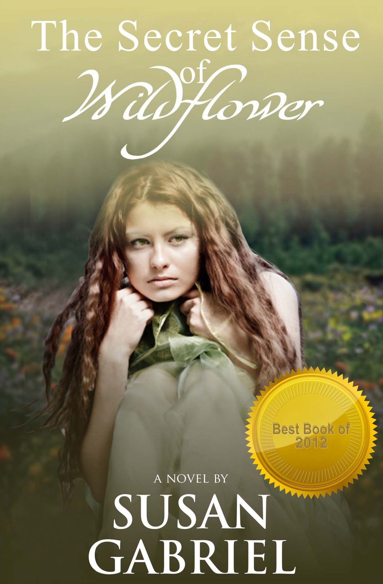 The Secret Sense of Wildflower - Southern Historical Fiction, Best Book of 2012: Wildflower Trilogy Book 1