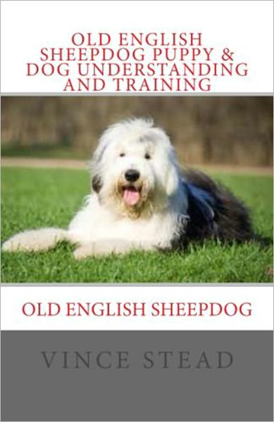 Old English Sheepdog Puppy & Dog Understanding and Training