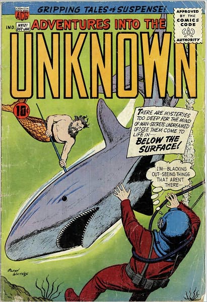 Adventures into the Unknown Number 121 Horror Comic Book