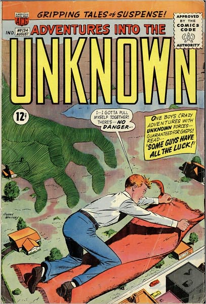 Adventures into the Unknown Number 134 Horror Comic Book