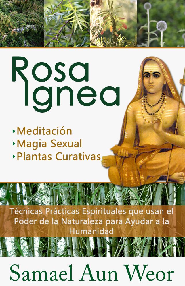 ROSA IGNEA