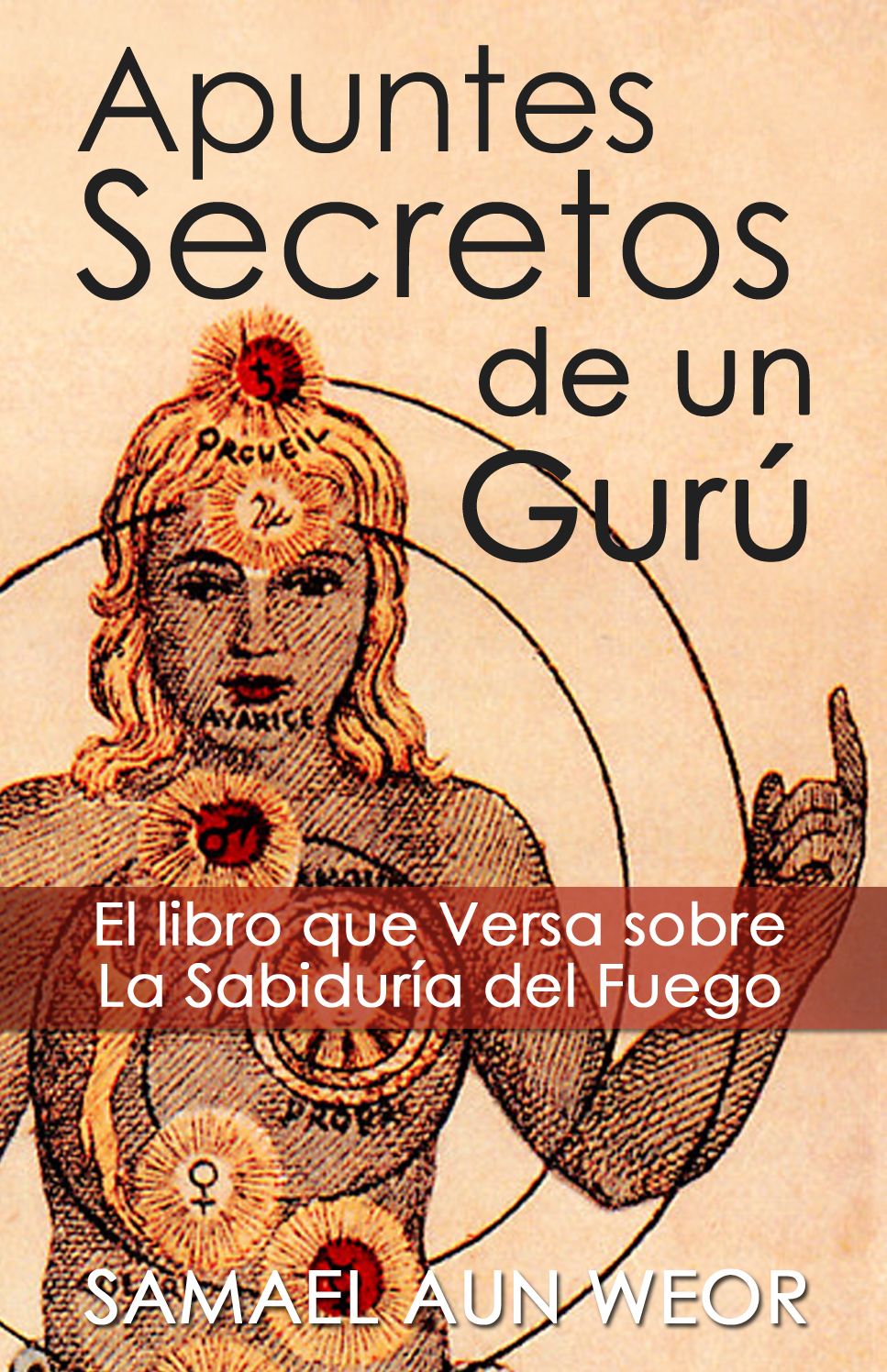 APUNTES SECRETOS DE UN GURU
