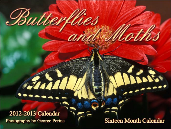 Butterflies and Moths