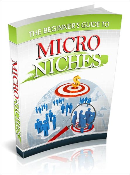 Beginner's Guide to Micro Niches