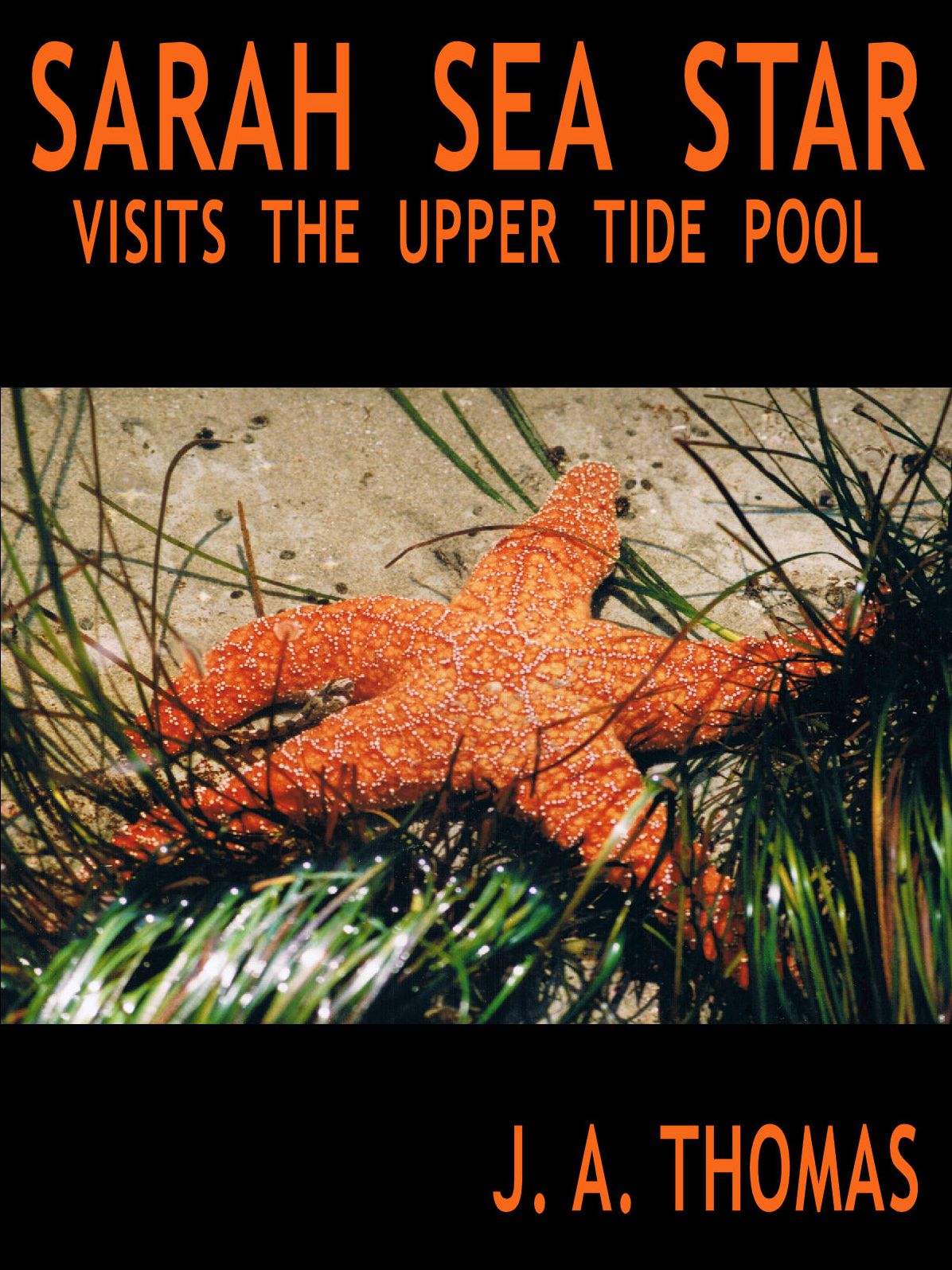 Sarah Sea Star Visits the Upper Tide Pool