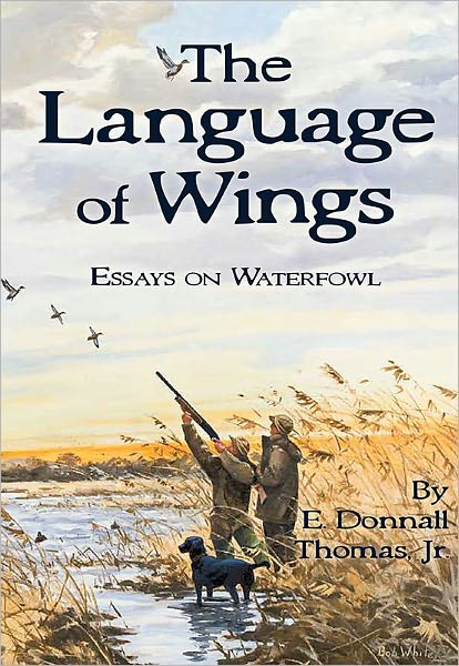 The Language of Wings