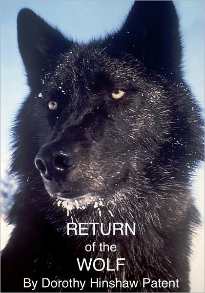 Return of the Wolf
