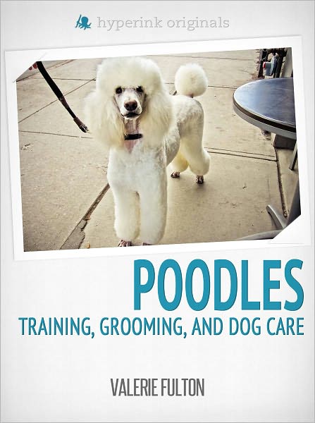 Poodle: Training, Grooming, and Dog Care