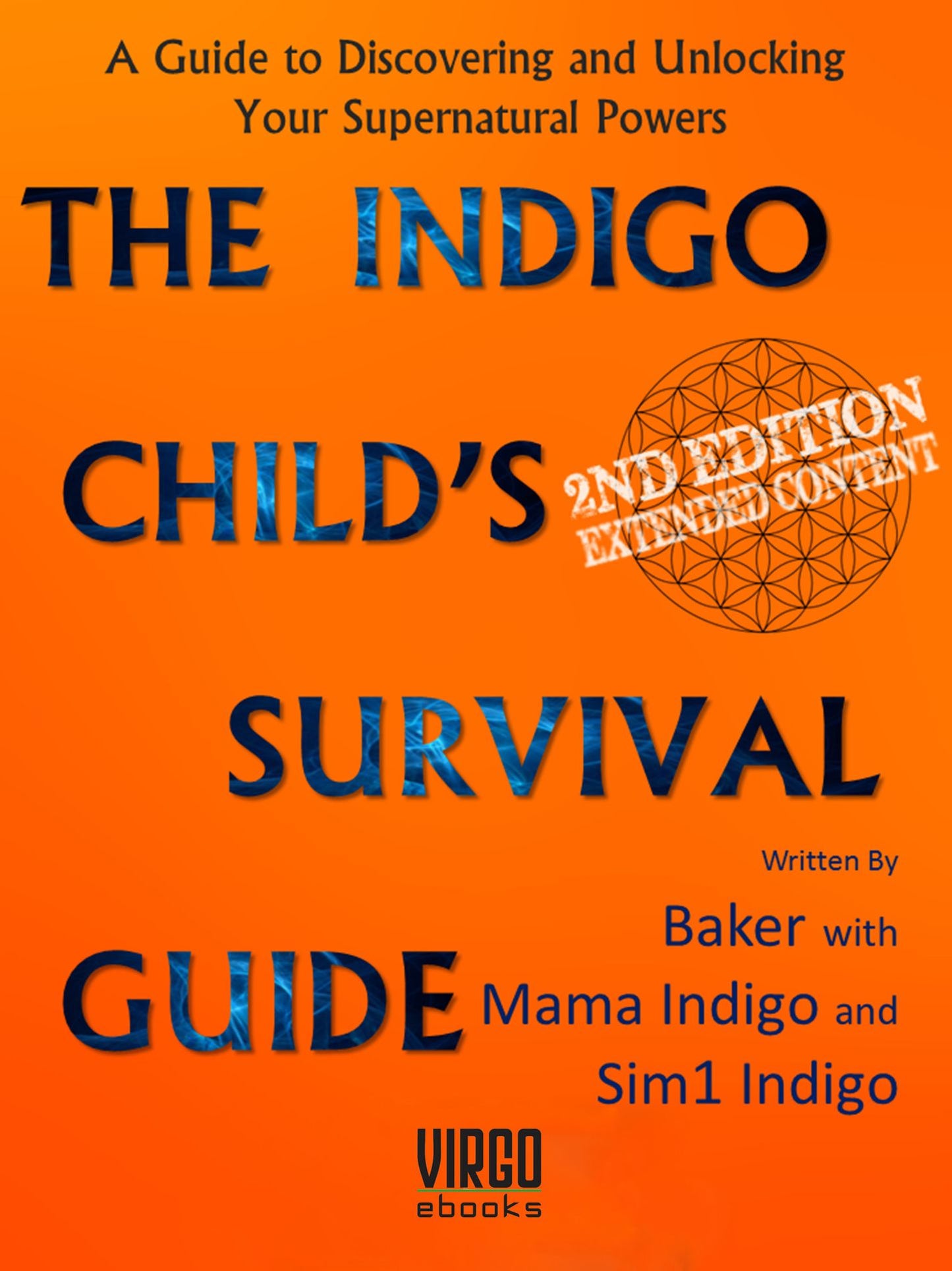 The Indigo Child's Survival Guide