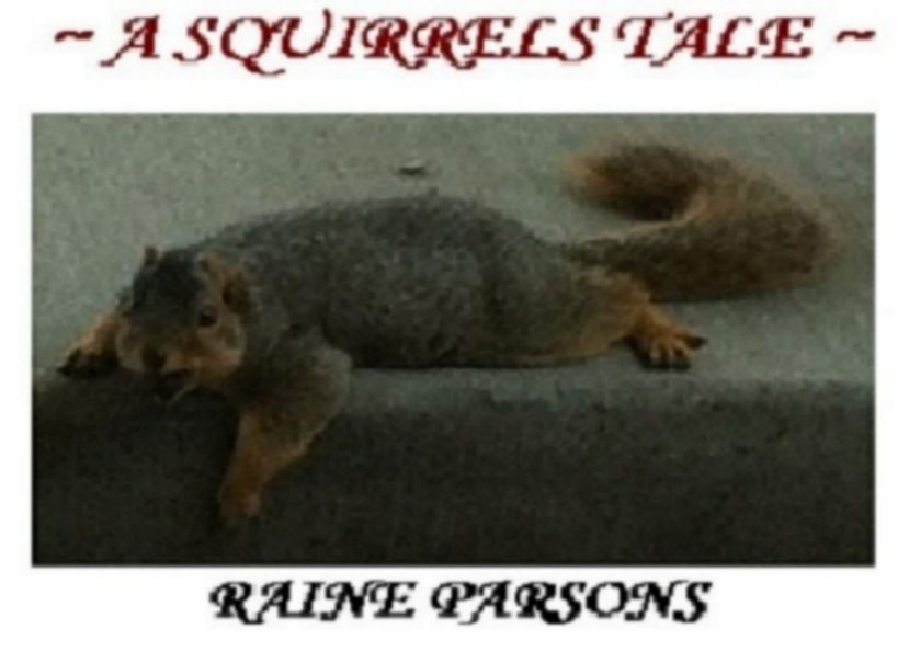 A Squirrels Tale