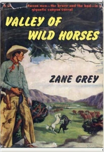 Valley of Wild Horses