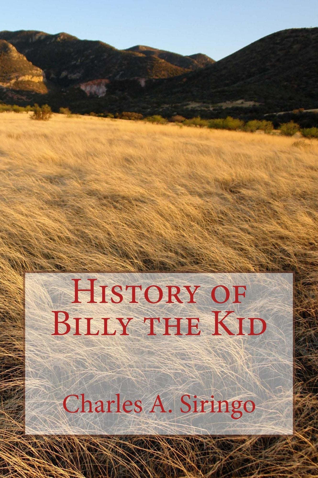 History of Billy the Kid (Illustrated Edition)