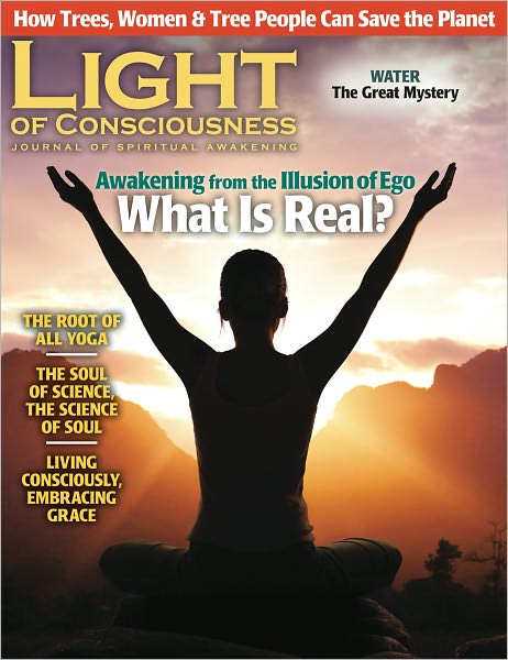 Light of Consciousness - Winter 2011