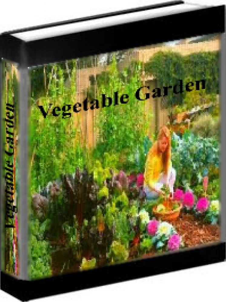 Vegetable Gardening - How To Plant And Care For Your Own Vegetable Garden