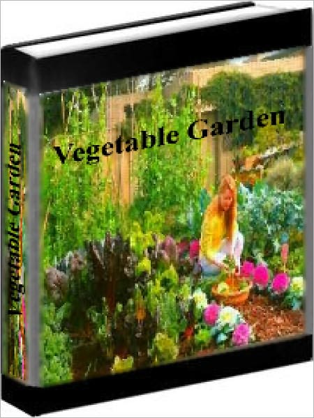 Vegetable Gardening - How To Plant And Care For Your Own Vegetable Garden