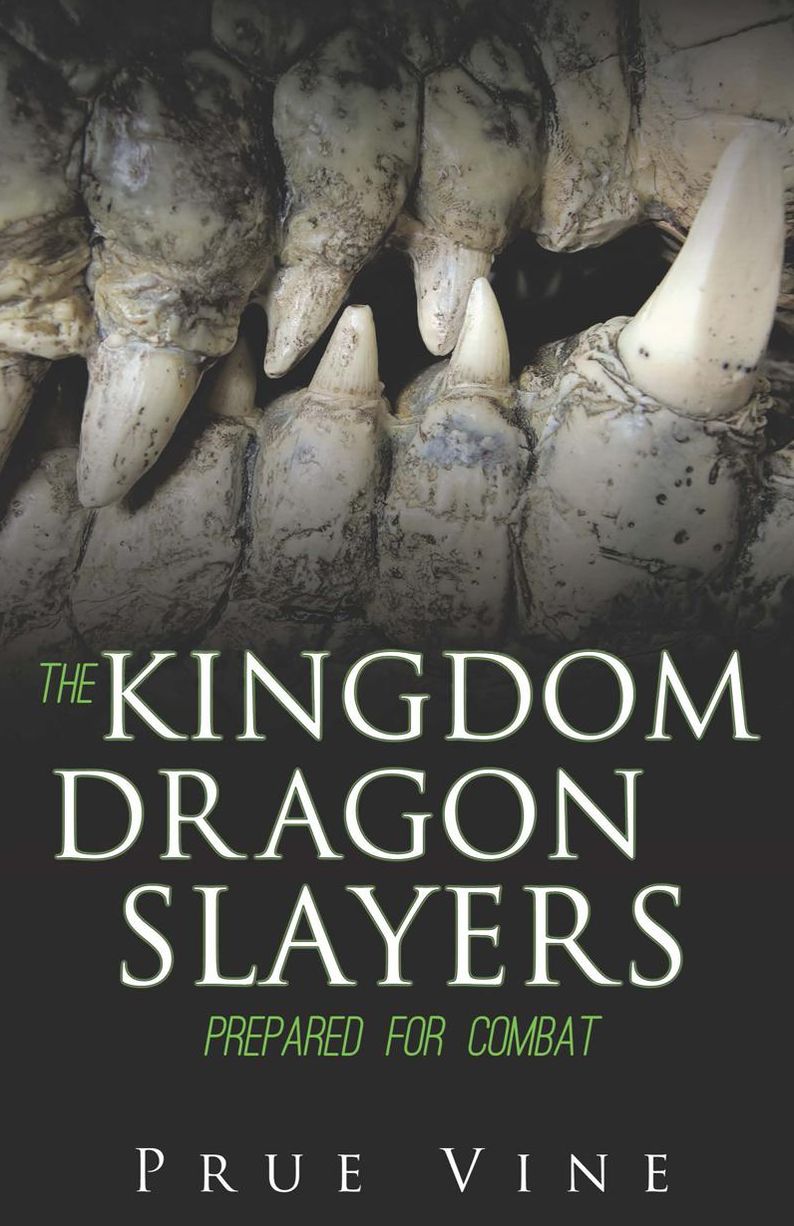 THE KINGDOM DRAGON SLAYERS