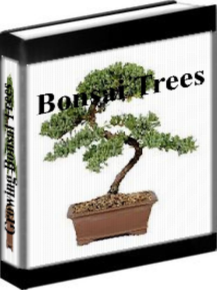 Bosai Tree Care - How To Grow And Care For Bonsai Trees