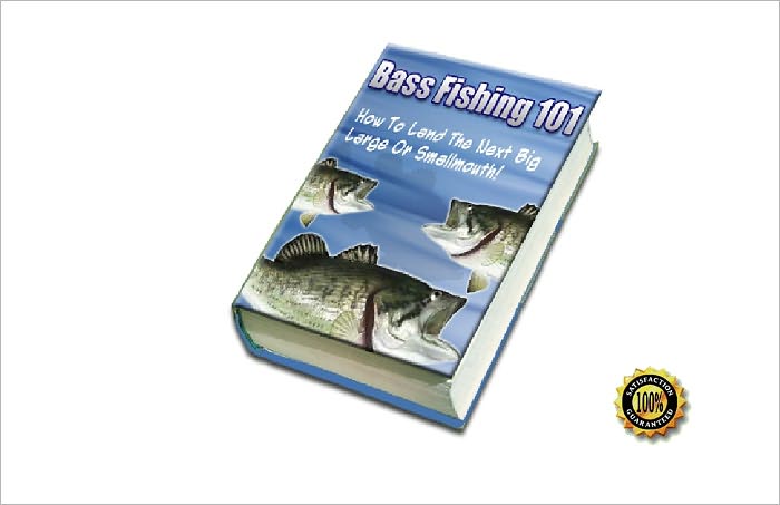 Bass Fishing 101-How To Catch The Next Big One!AAA+++