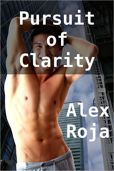 Pursuit of Clarity (First time gay erotic romance)