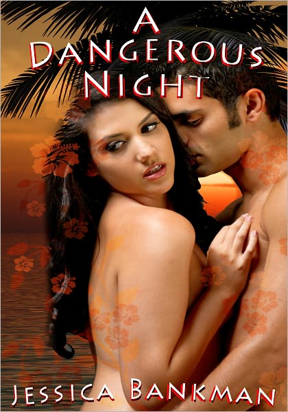 A Dangerous Night - Women's Erotica/Couple's Erotica/Adventure Erotica/Erotic Fiction