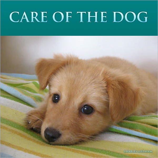 CARE OF THE DOG