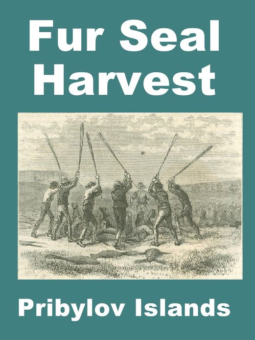 Fur Seal Harvest on Pribylov Island in 1874
