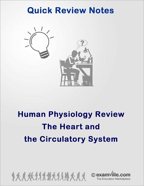 The Heart and the Circulatory System (Physiology Review)