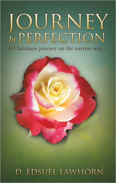Journey to Perfection