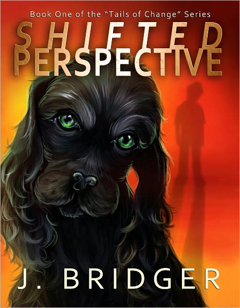 Shifted Perspective