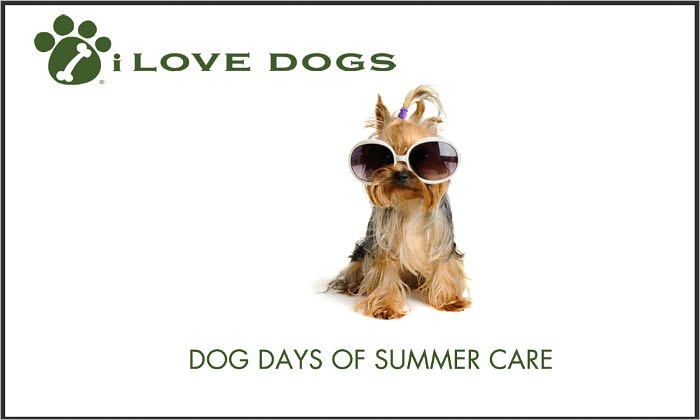 Dog Days of Summer