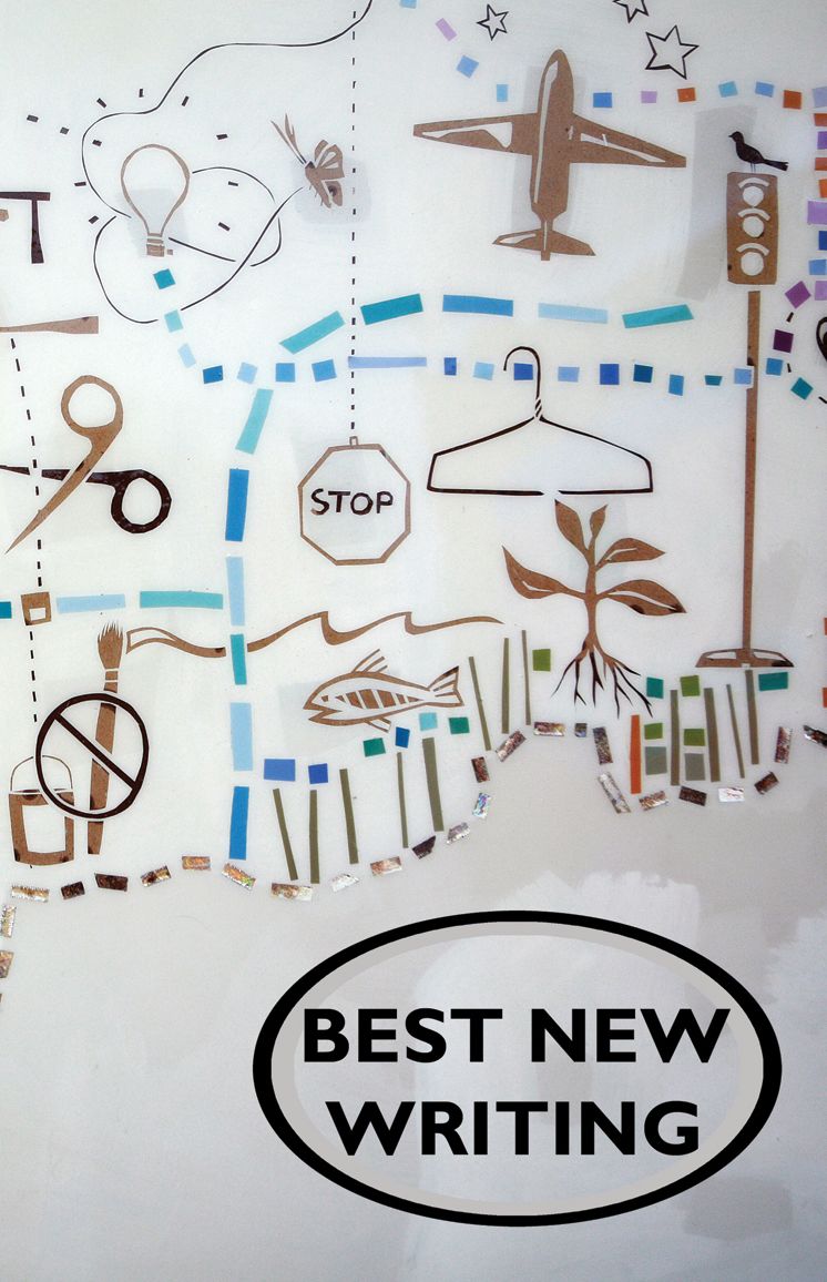 Best New Writing 2013