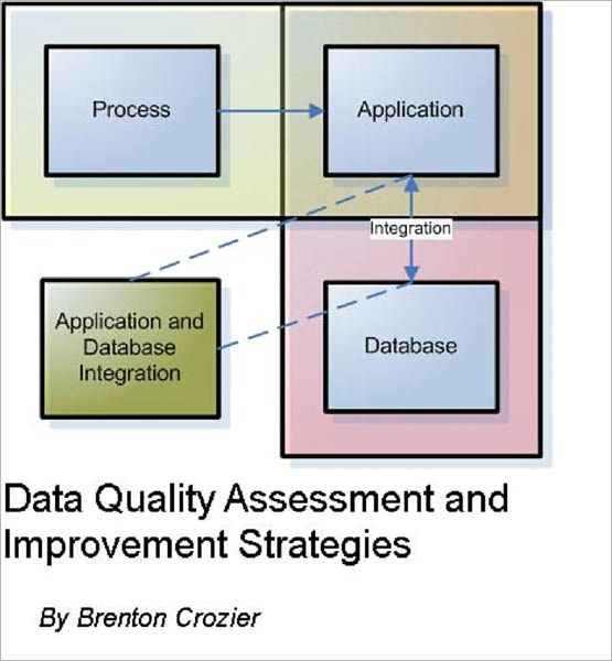 Data Quality Assessment and Improvement Strategies