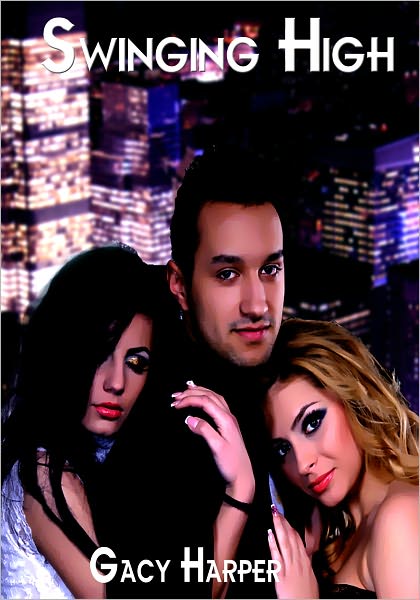 Romance Erotica: Swinging High