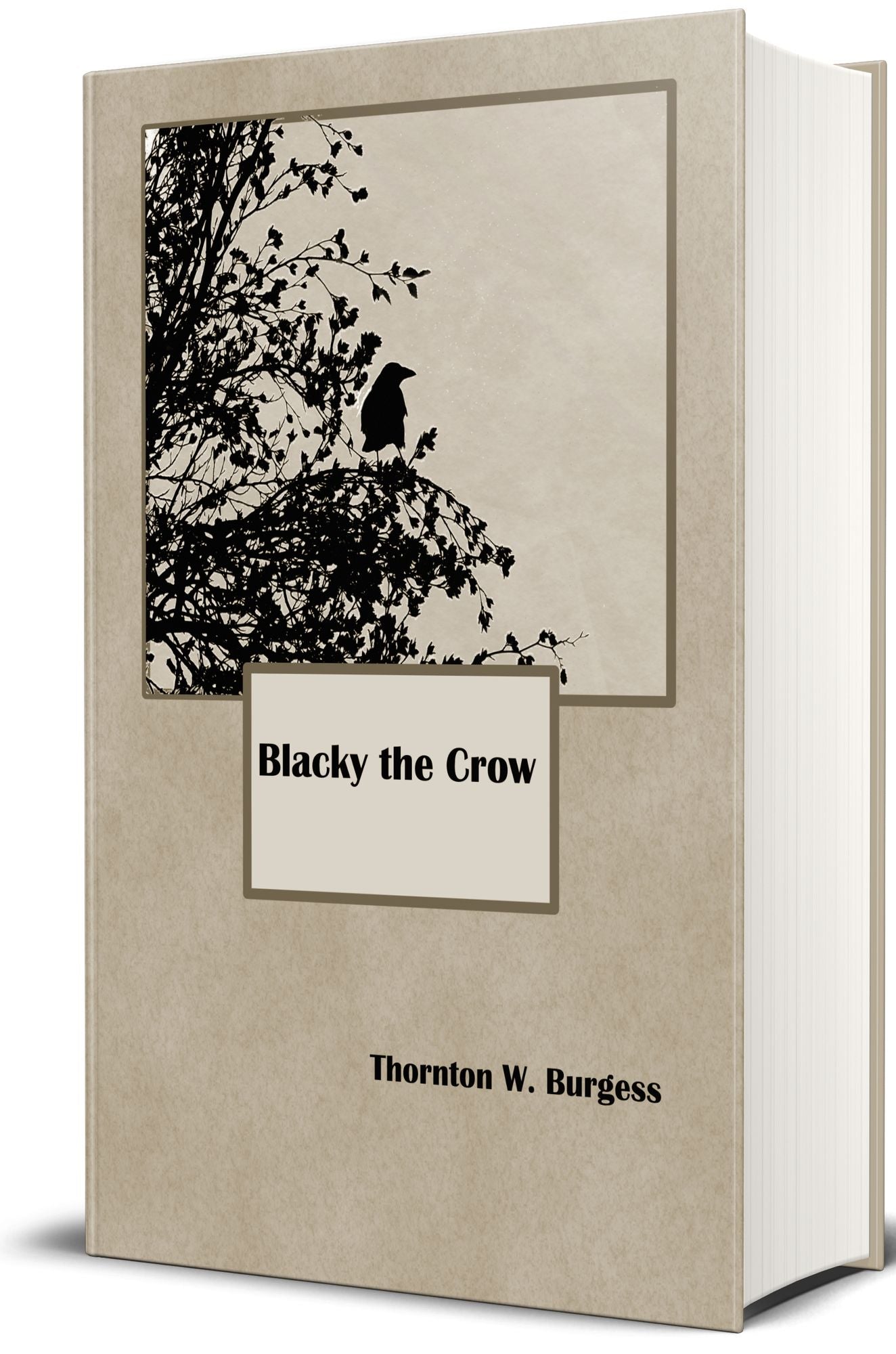 Blacky the Crow (Illustrated Edition)