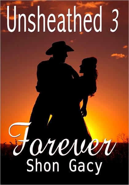 Romance Erotica: Unsheathed III – Forever
